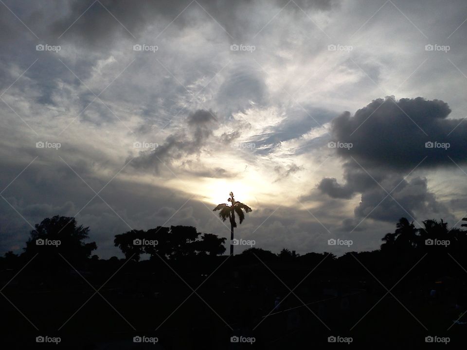 Sunset behind the palm tree and the clouds