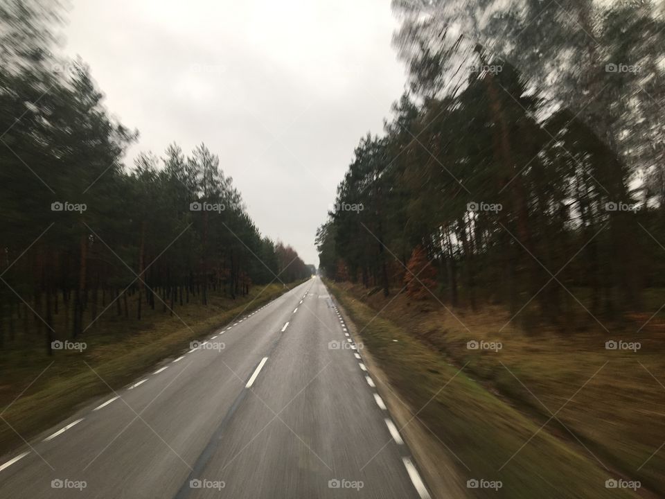 Дорога домой