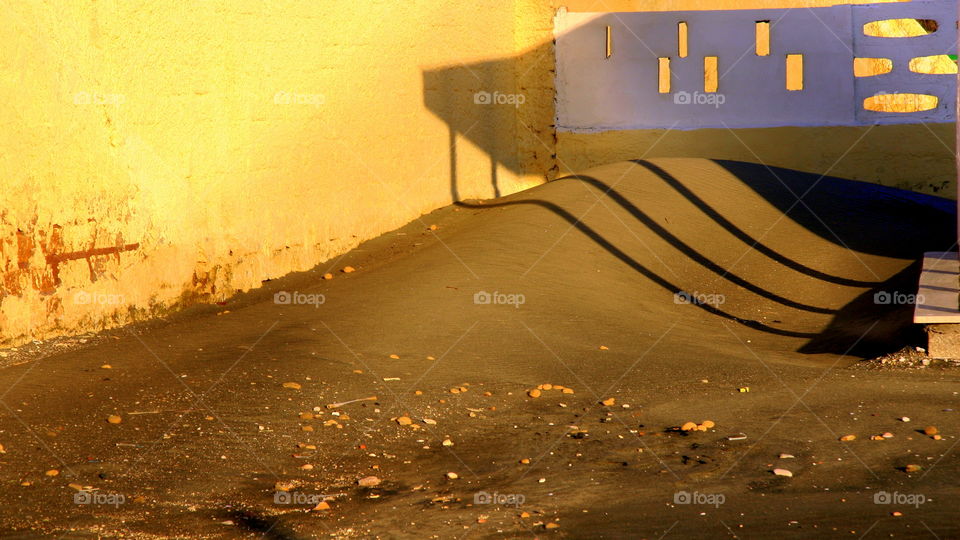 shadows dancing on the dunes beach