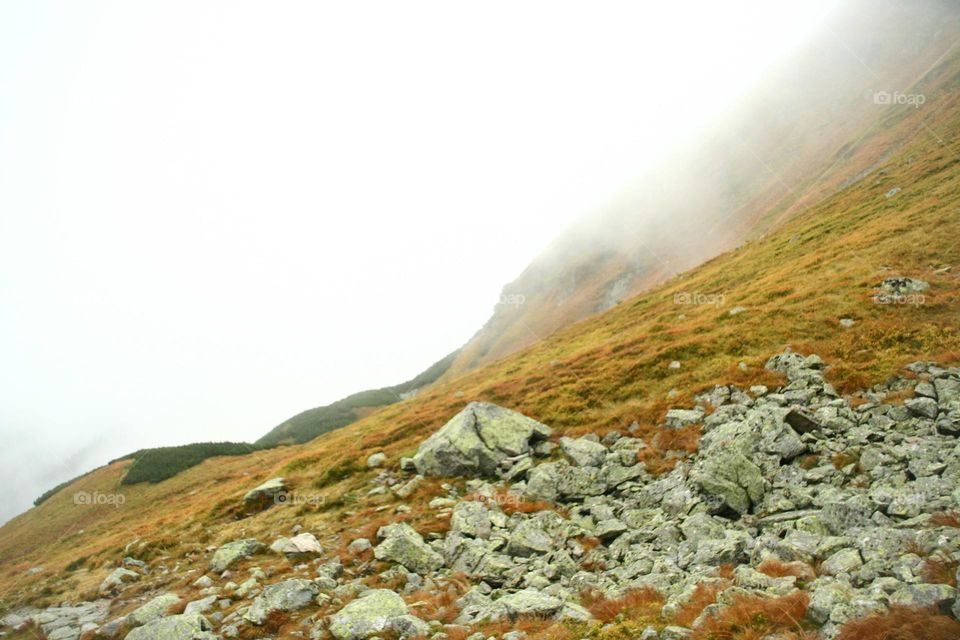 Misty hill in the aurumn