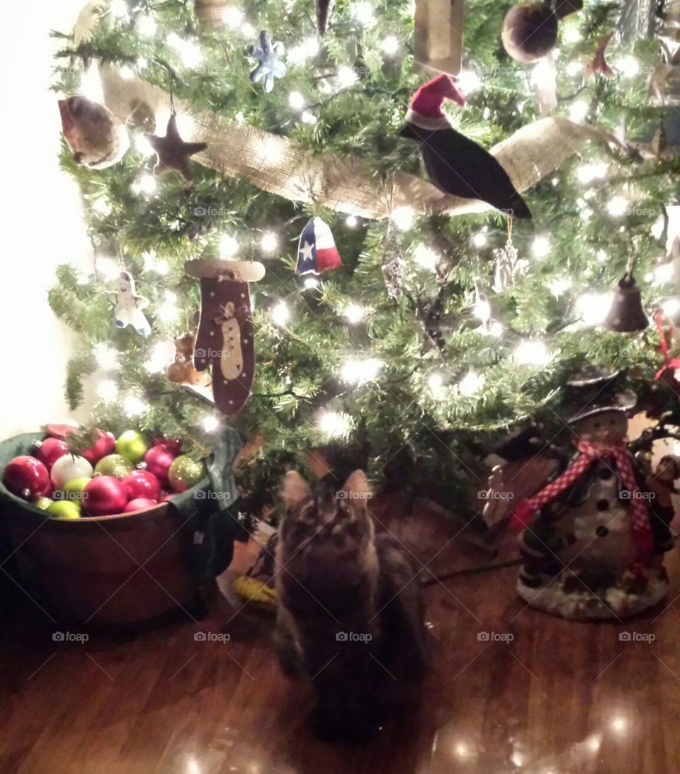 My precious with his precious