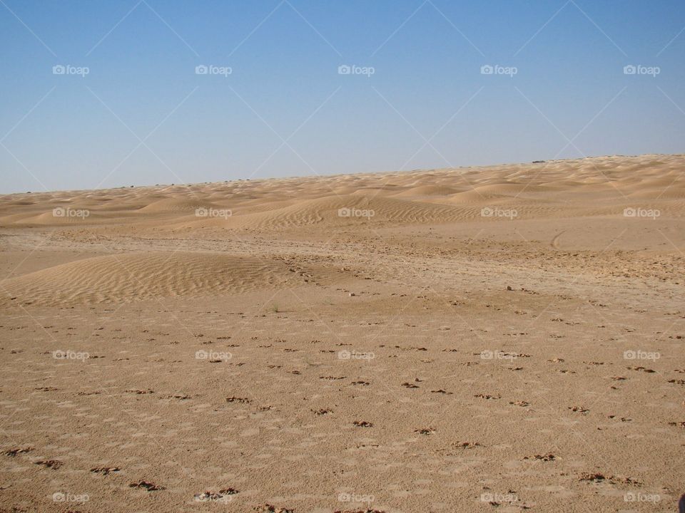 Sahara Desert