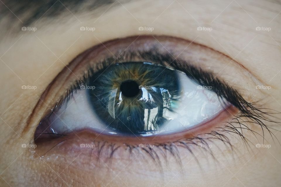 Extreme close-up of human eye