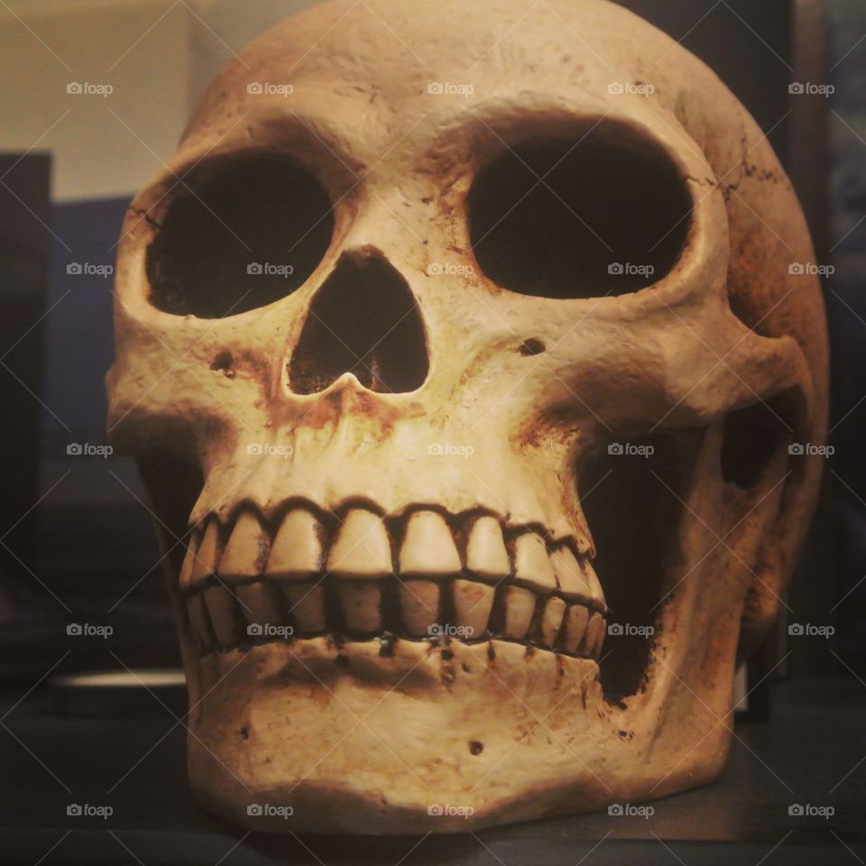 Skull. Decoration