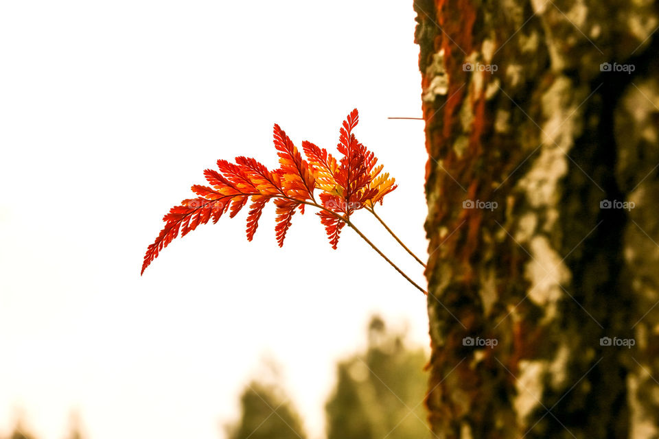 The color of the plants also changes, signaling autumn soon to come. The atmosphere was getting warmer.