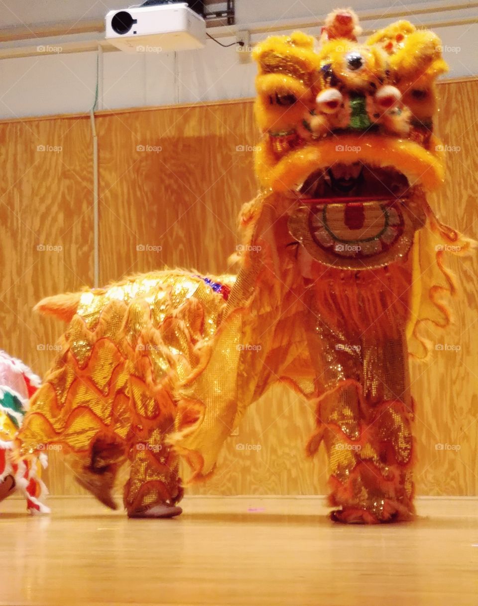 Asian Extravaganza Festival 2017 - 
Chinese Lion Dance 
wu shu kung fu - China
