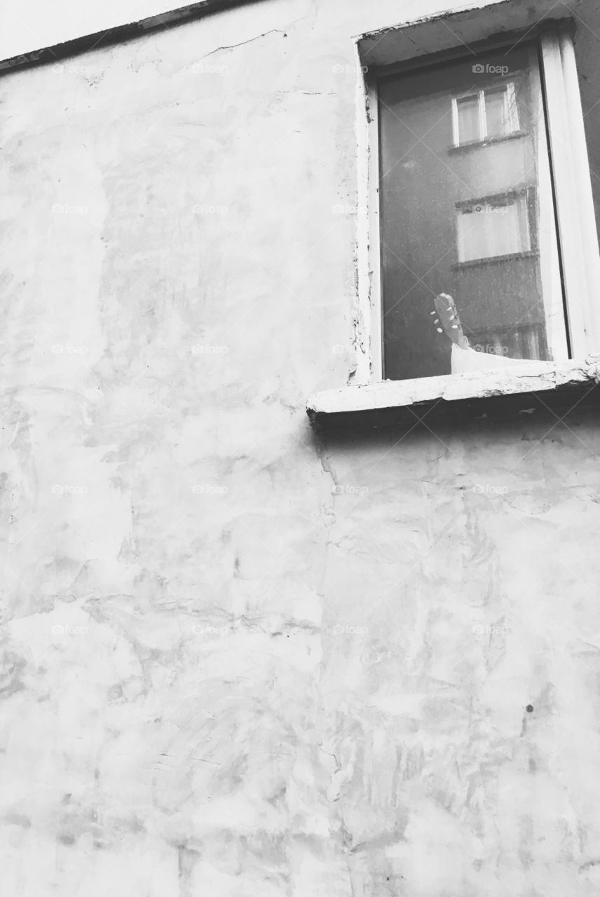 You've got the music