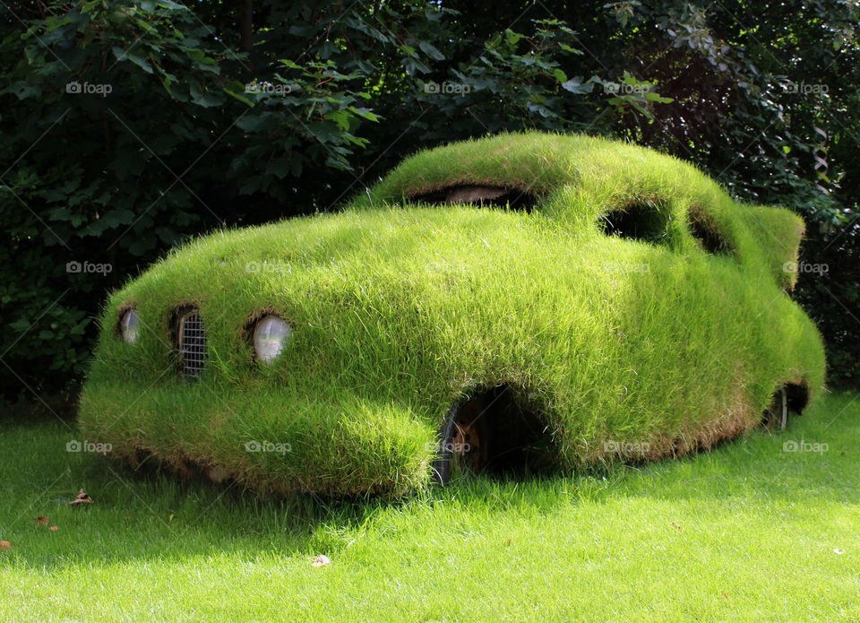 Close-up of car with grass