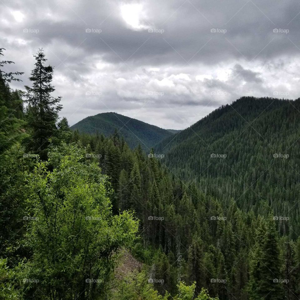 view of green trees and mountain peaks under a cloudy sky