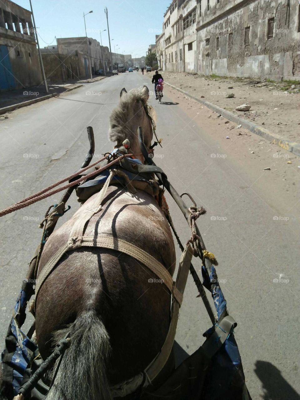 A horse drags a cart.