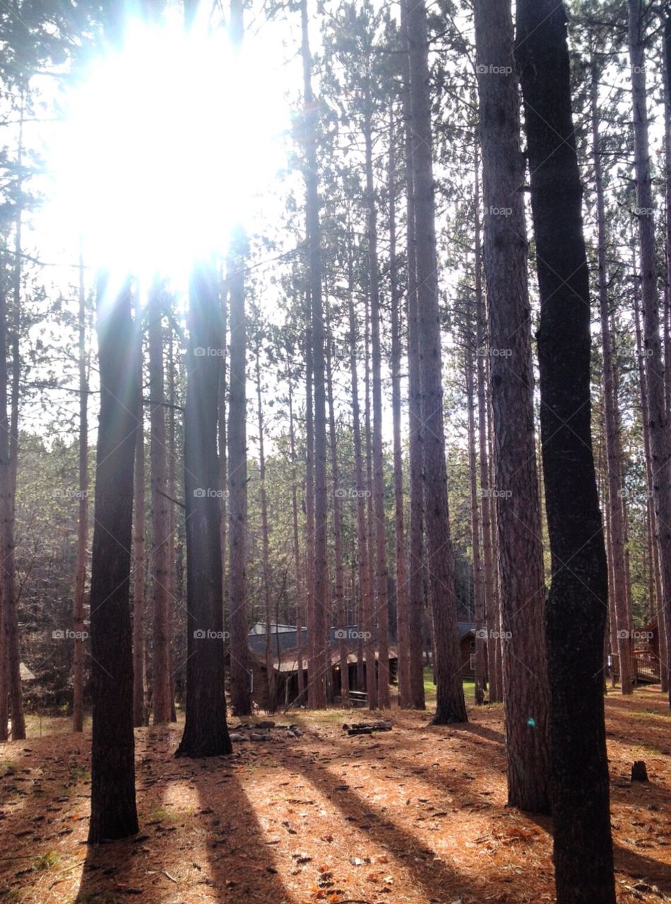 || and if not, He is still good ||