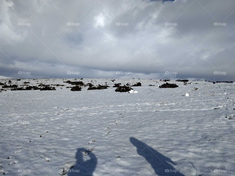 snowy moors