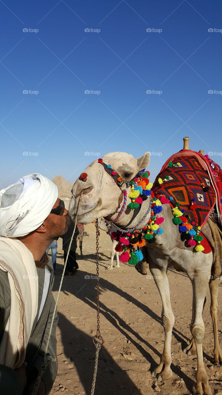 Can see one of the pyramids at Giza in the background...