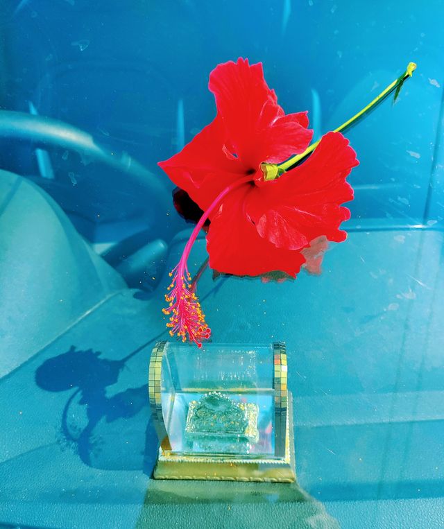 Car glass background Red flower