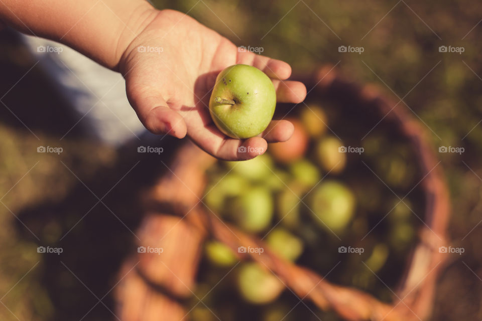 apple in hand