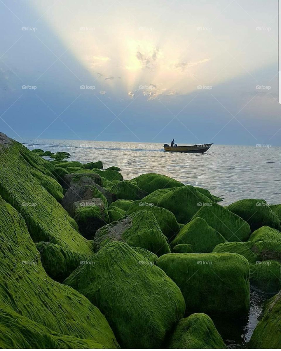 Iran nature