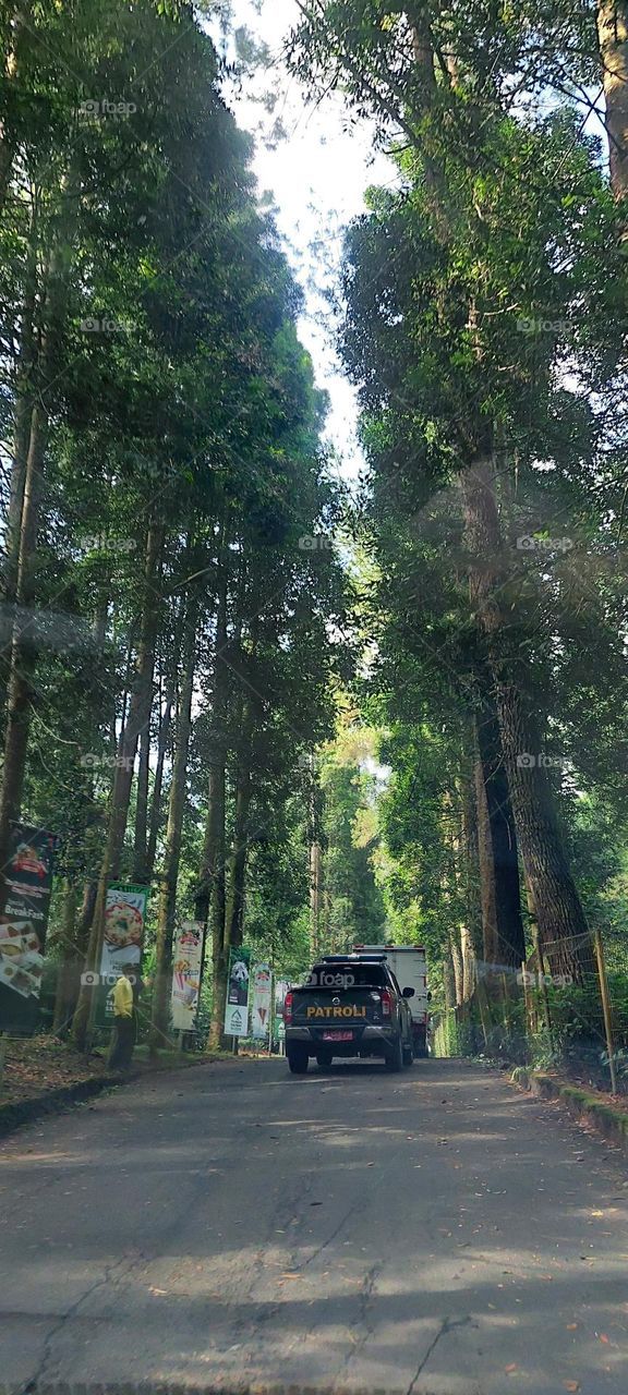 forest patrol in bogor, indonesia