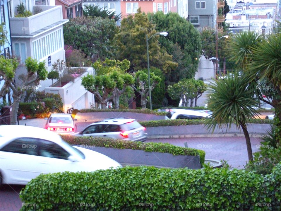 Russian hill view from up side. San Diego, California