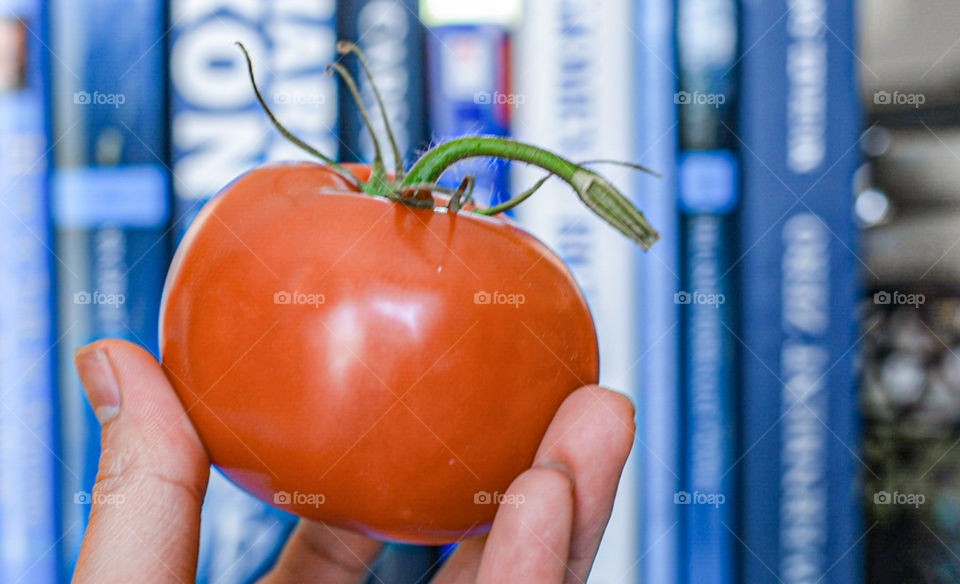 When I saw the mission today, this immediately popped in my mind! My books and a tomato! Literally, Blue and Orange! Yasss! 