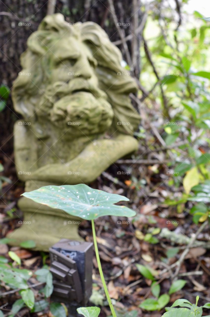 Statue of mans head against tree