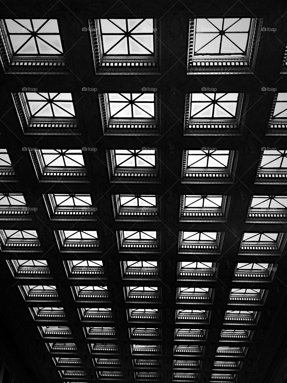 Field Museum Chicago ceiling 