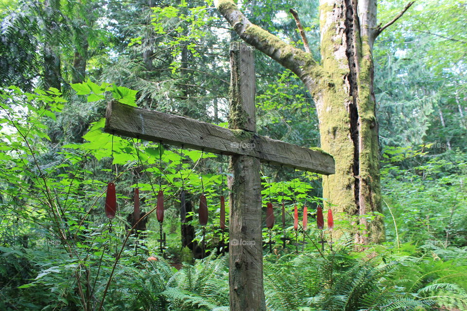 A cross of crosses. A wooden cross with little metal crosses secured to red fishing lures hanging off the cross beam. A unique little park on the wondrous West Coast!