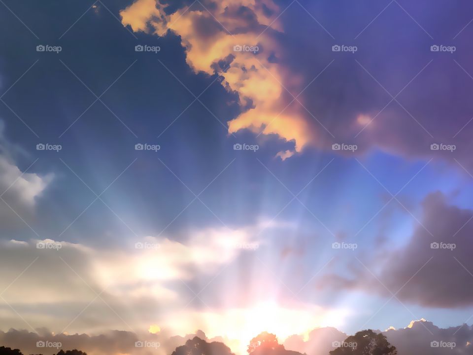 Anticrepuscular  rays glowing in a purple and golden sunset.