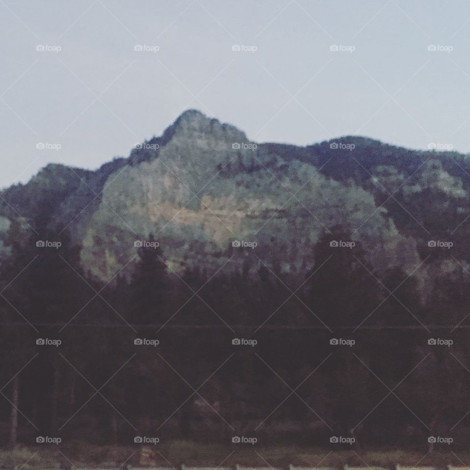 Mountain, Landscape, Tree, Travel, Hill