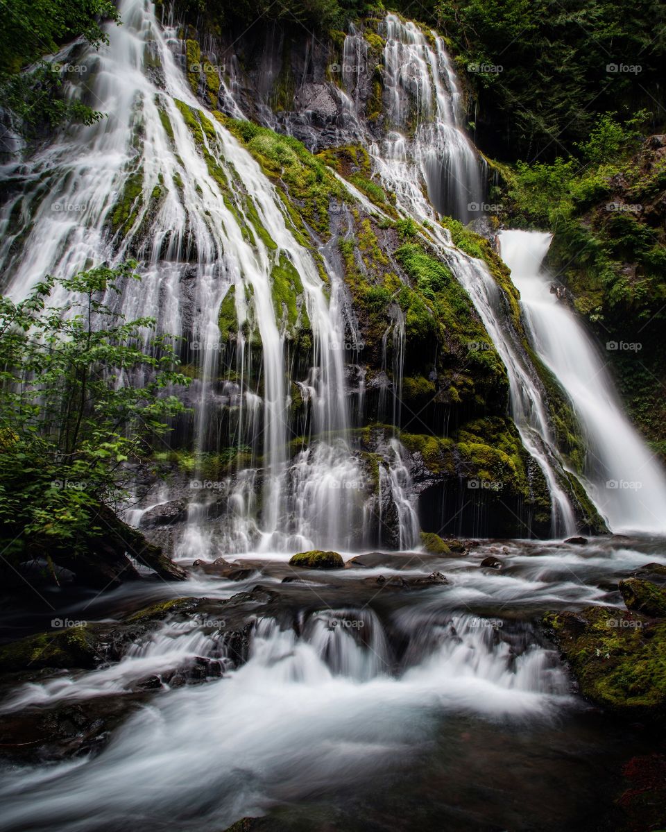 Scenic view of waterfall in forest