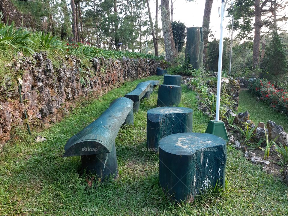Wood benches at the park.
