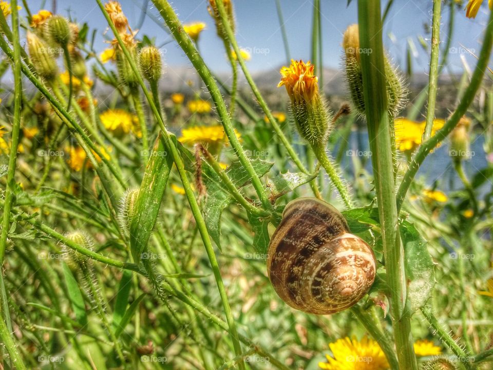 Flora and fauna in one shot!