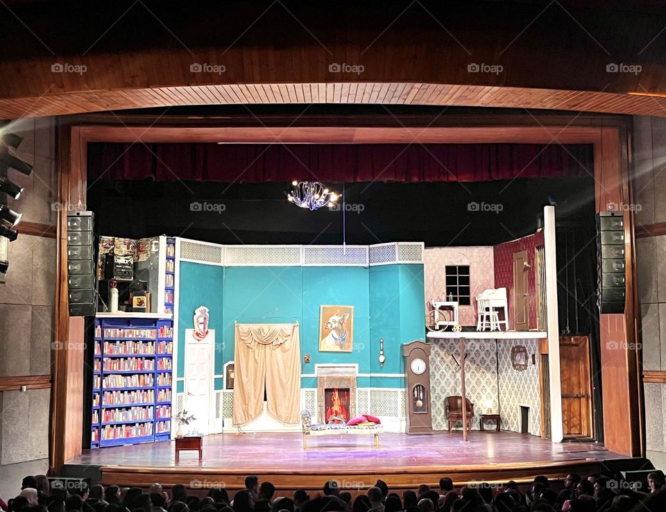 A crowded theater enjoying the art