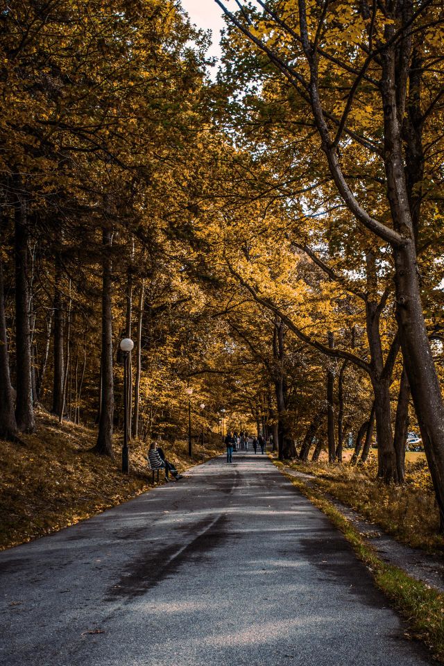Fall