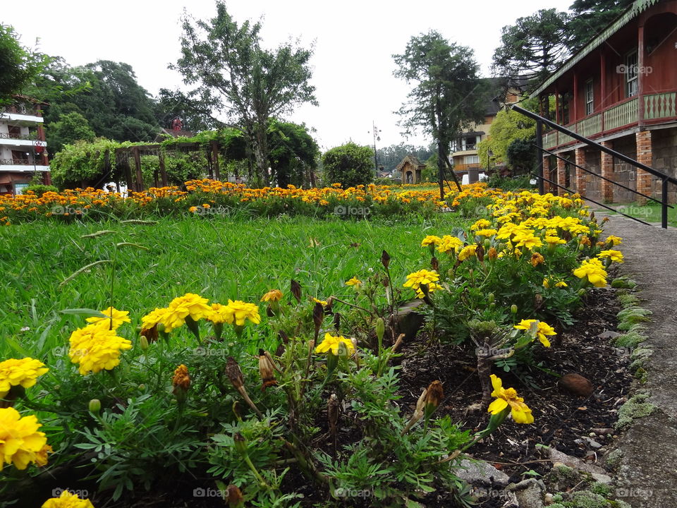 Gramado 