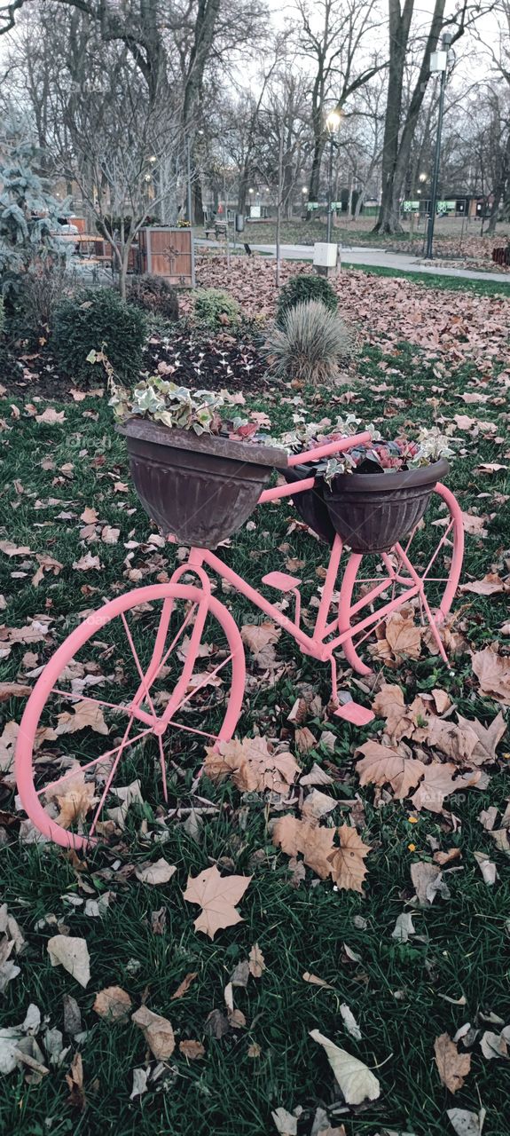 decorative bicycle