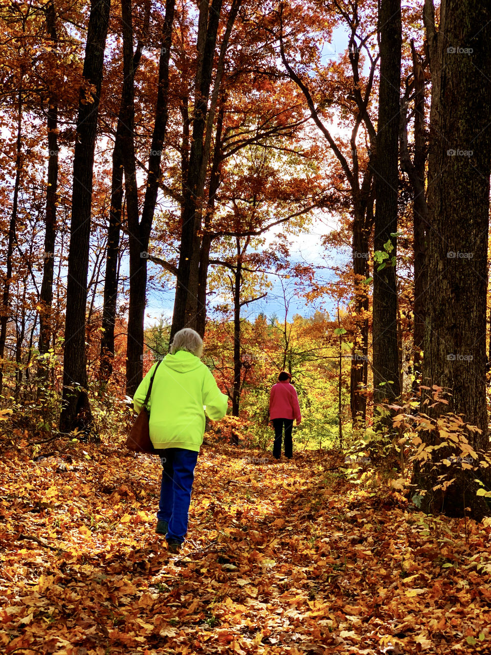 Hiking in the woods on a fall day