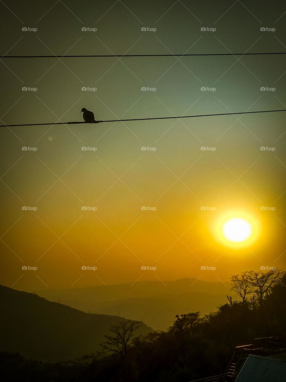 beautiful sunset ever