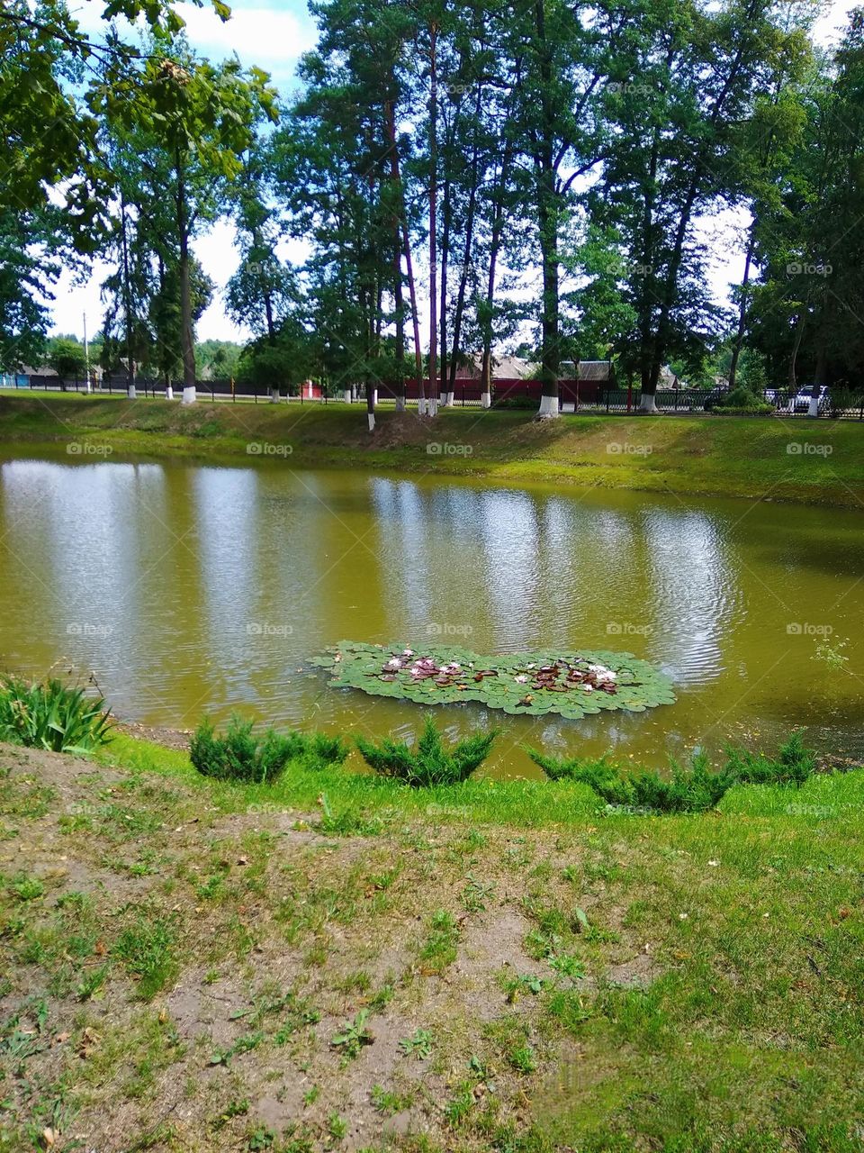 Vacation series countryside