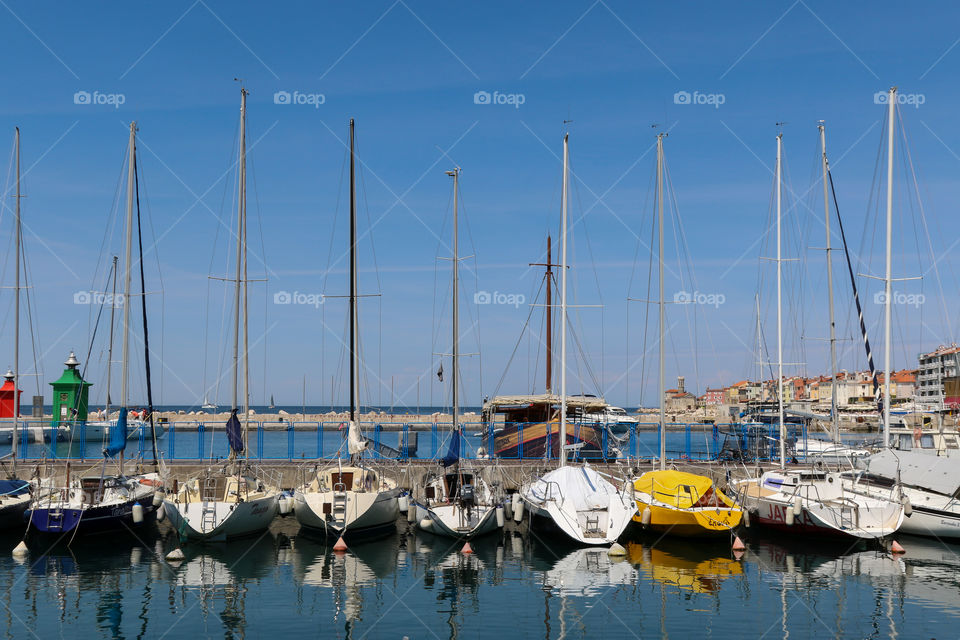 Sailing boats