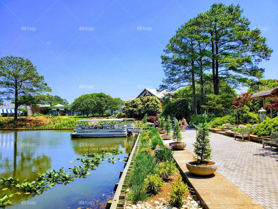 a walk in the Norfolk botanical garden