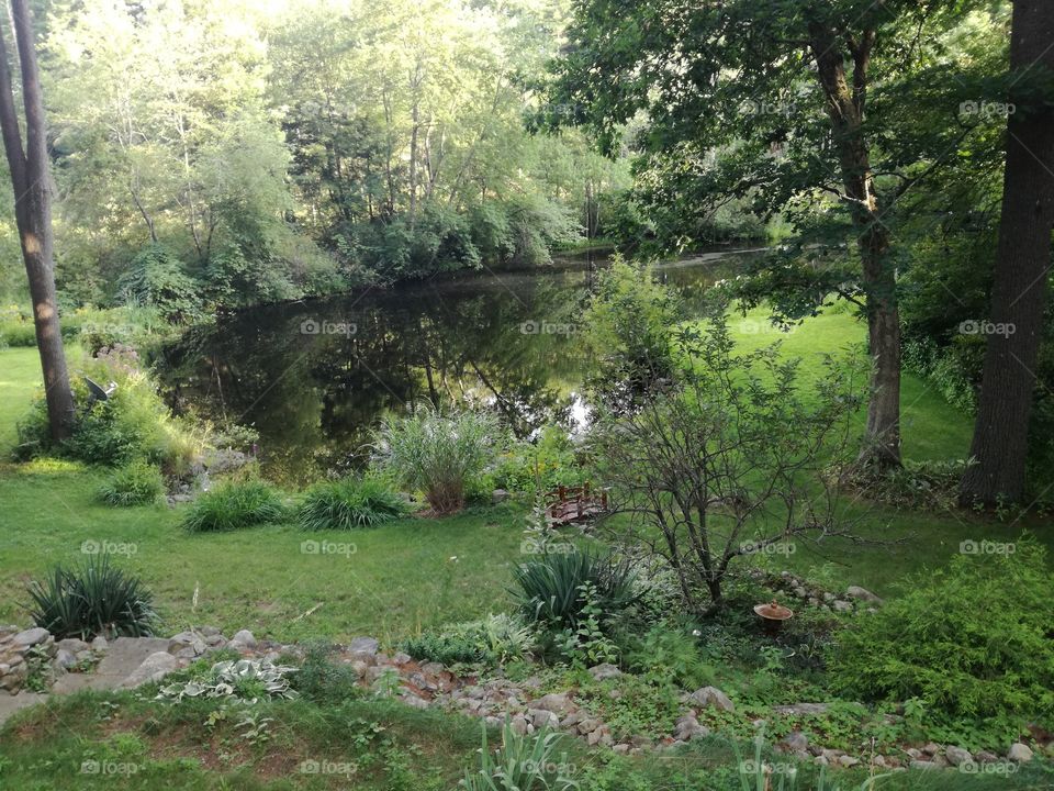 Beautiful backyard pond