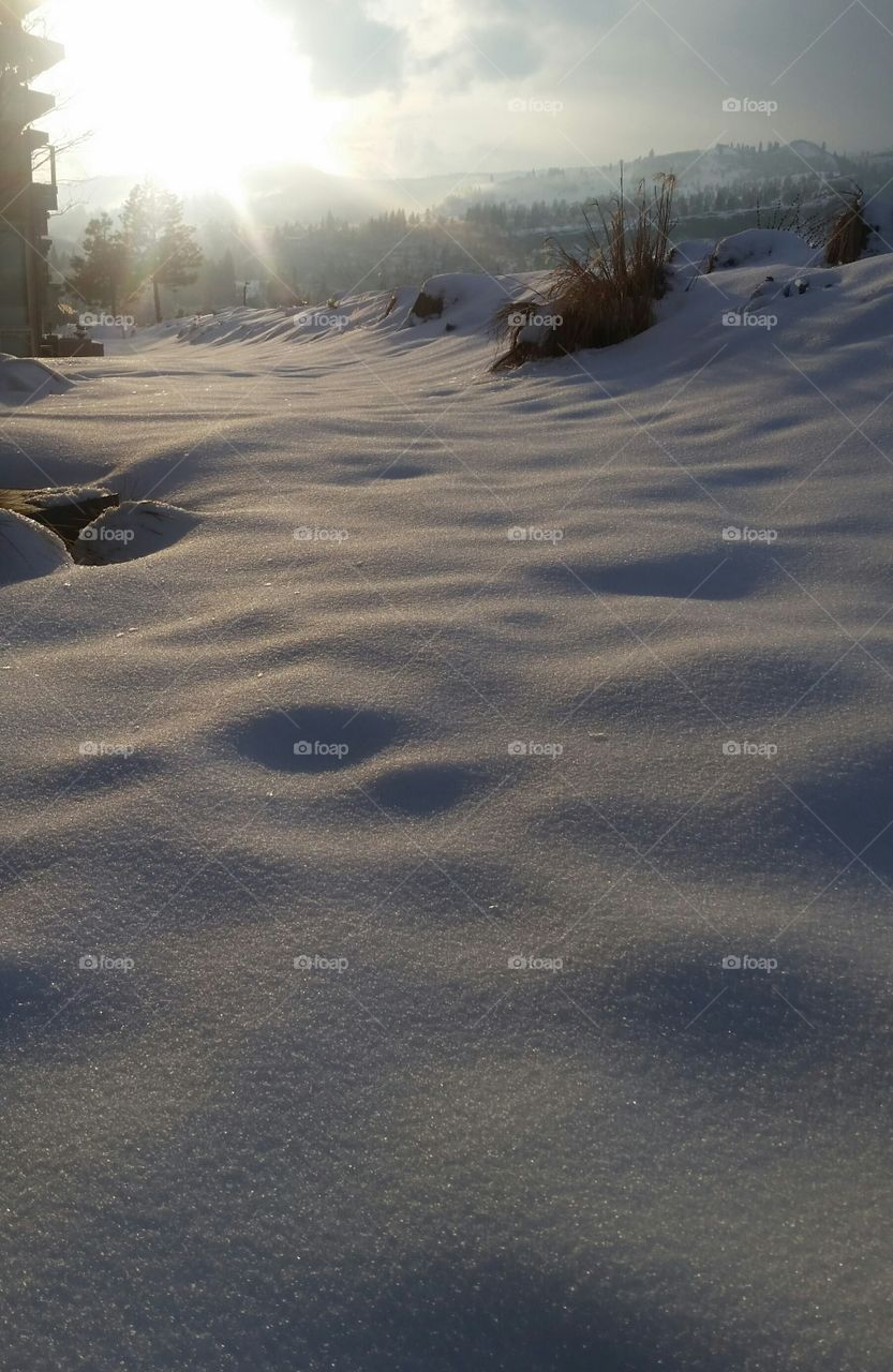 View of sunlight on snow