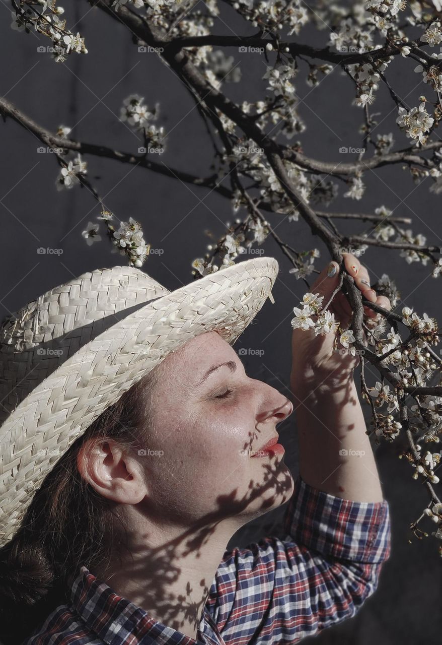 Spring sun and tree bloom