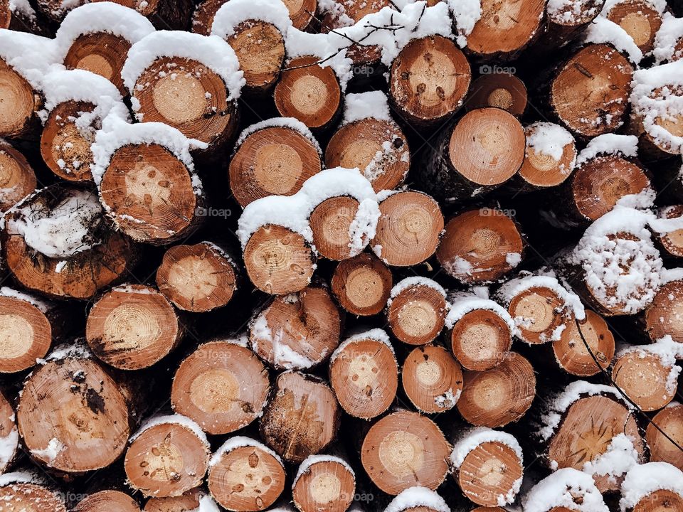 Snow on stack of logs