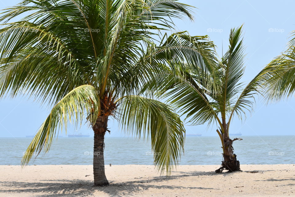 Such a warm weather. What else can you ask for ?