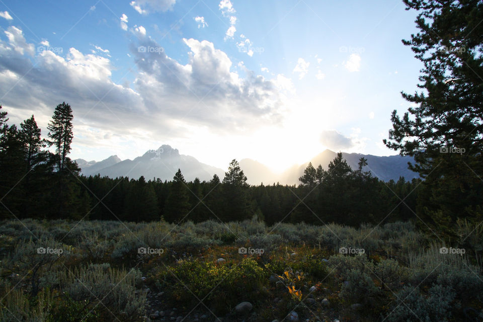 Scenic view of mountain, Grand Teton, Wyoming