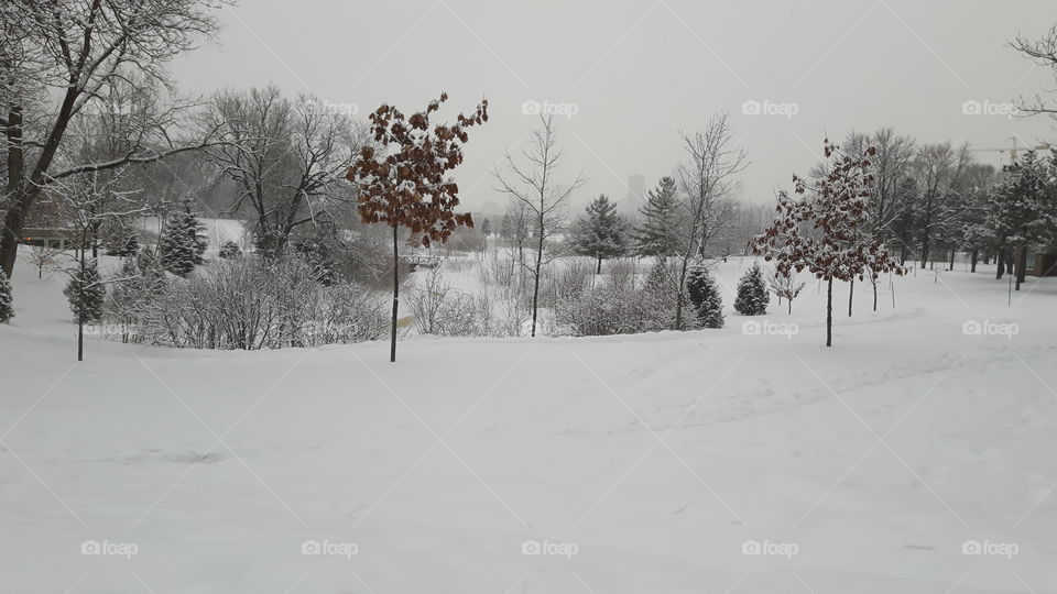 fresh snow on limoilou!