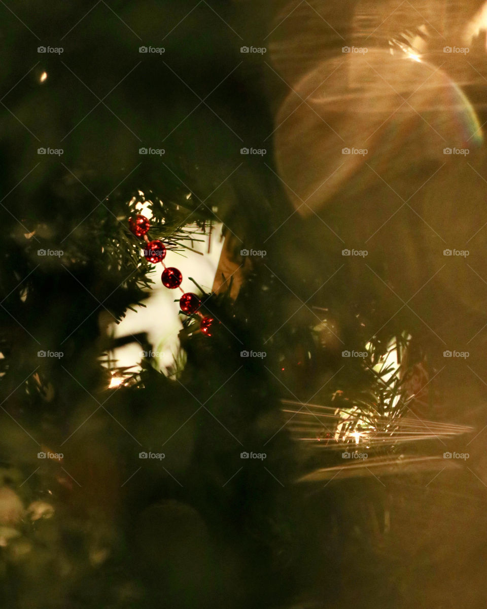 Christmas aesthetics views through the tree