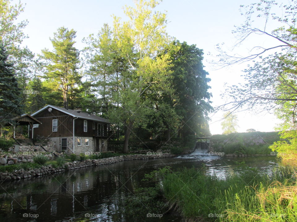 Wood, Water, Nature, Tree, Landscape