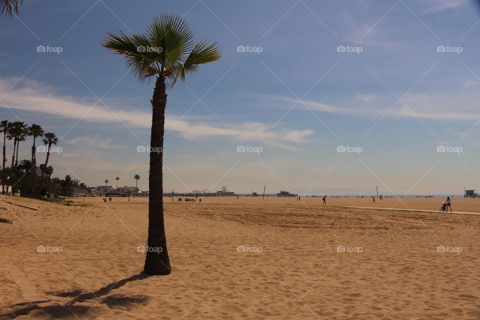 Santa Monica beach 